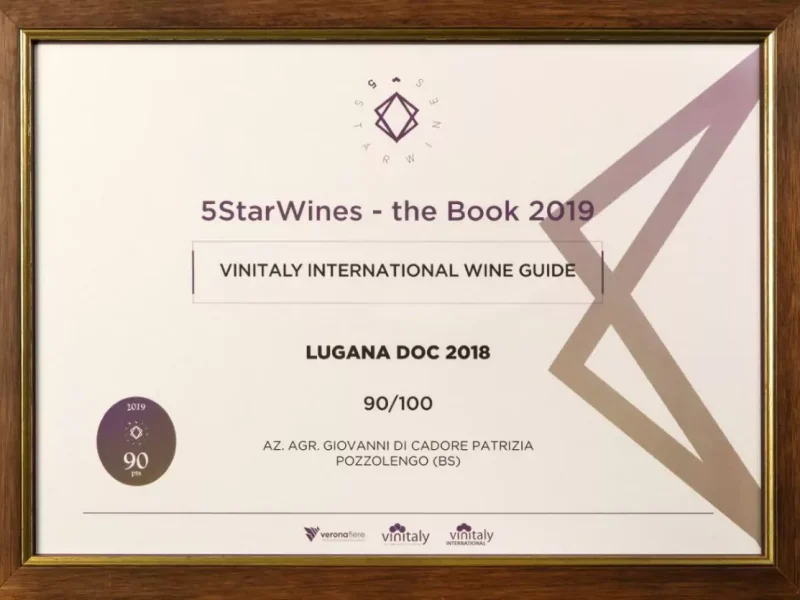 5starwines-lugana-2018-a-scelta-1140x835-1