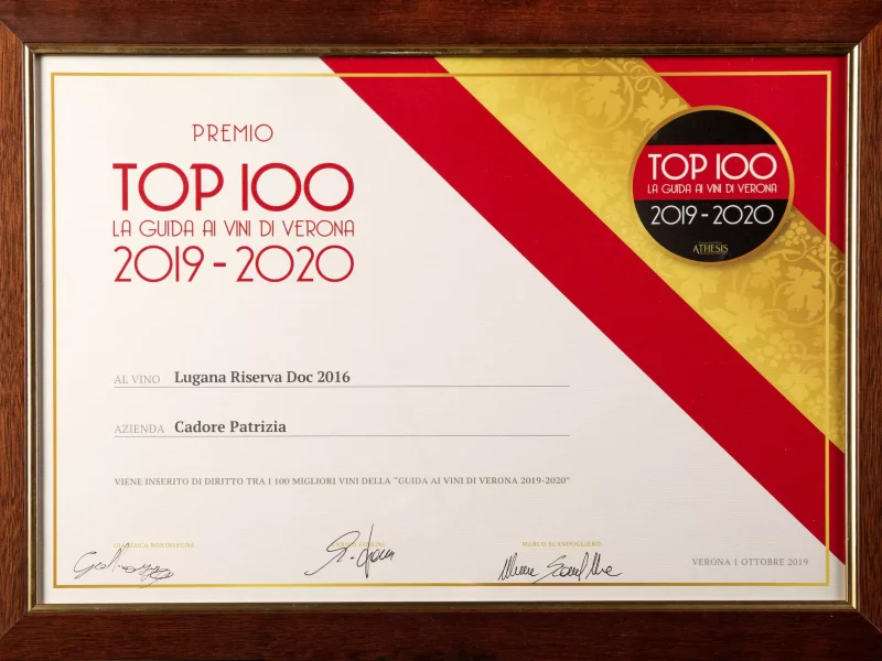 premio-top-100-scaled